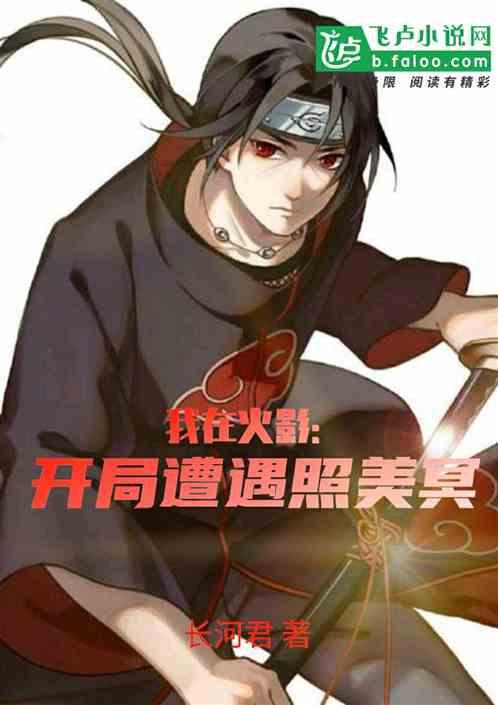 我在火影:开局遭遇照美冥