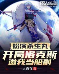 扮杀生丸,开局洛克斯邀我当船副