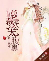 名门隐婚:总裁老公太腹黑