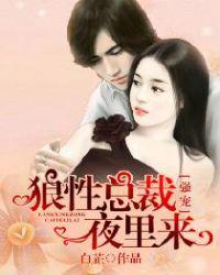 强宠:狼性总裁夜里来