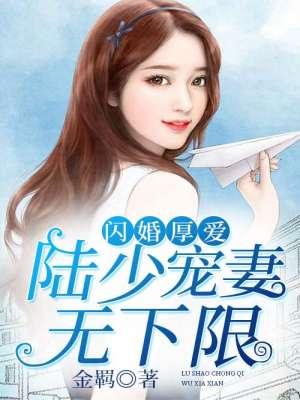 闪婚厚爱:陆少宠妻无下限