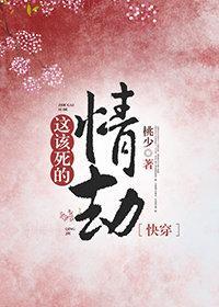这该死的情劫（快穿）