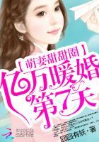 萌妻甜甜圈:亿万暖婚第7天