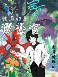 宝可梦:我真的是搜查官