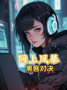 网上风暴:黑客对决