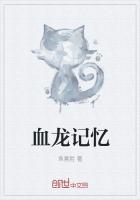 血龙记忆
