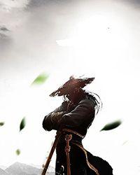 穿越之名侦探柯南